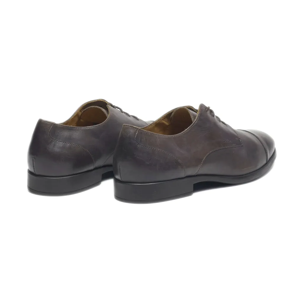 Geox Formal Lace Ups Leather Brown Colour For Men