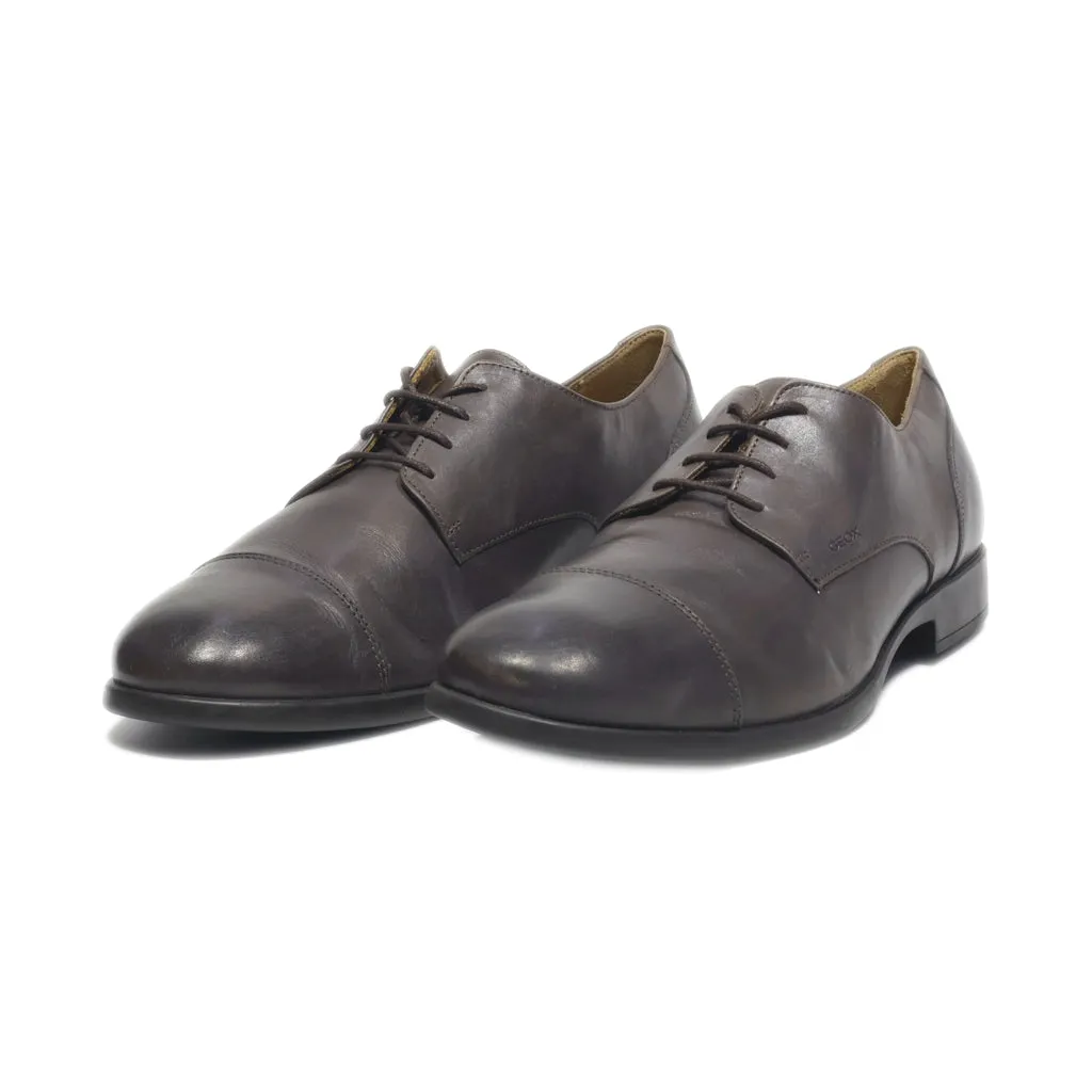 Geox Formal Lace Ups Leather Brown Colour For Men
