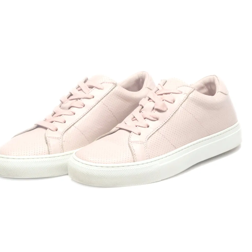 Greats Lace Ups Leather Pink Colour For Women